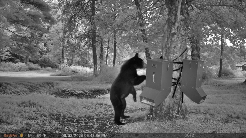 Customer photo review of GardePro Link 1.0 3000ft(1km) Long-Range Wireless Trail Camera