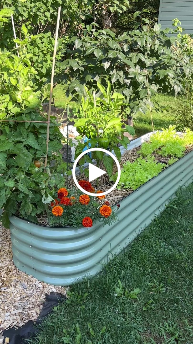 Customer video review of $75 ONLY - 8" Tall Modular 9 in 1