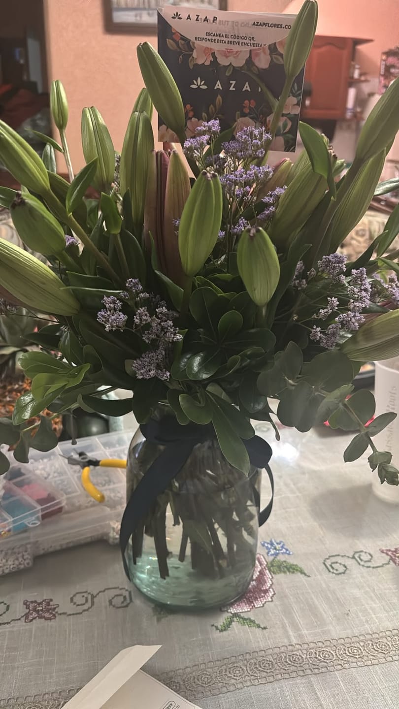 Customer photo review of Las Brisas - (Lilium Rosa)
