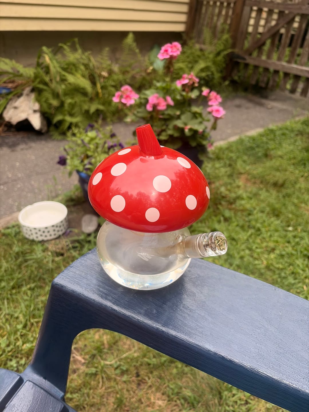 Customer photo review of Sporeo – Mushroom Mini Bong