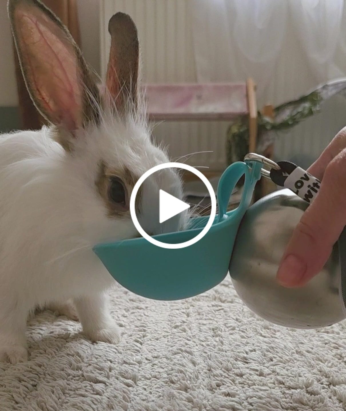 Customer video review of Pawsipe™ 2'si 1 Arada Köpek Yürüyüş Matarası