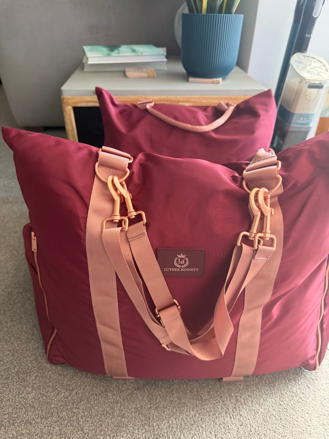Customer photo review of Travel Dog Pod - Rosewood
