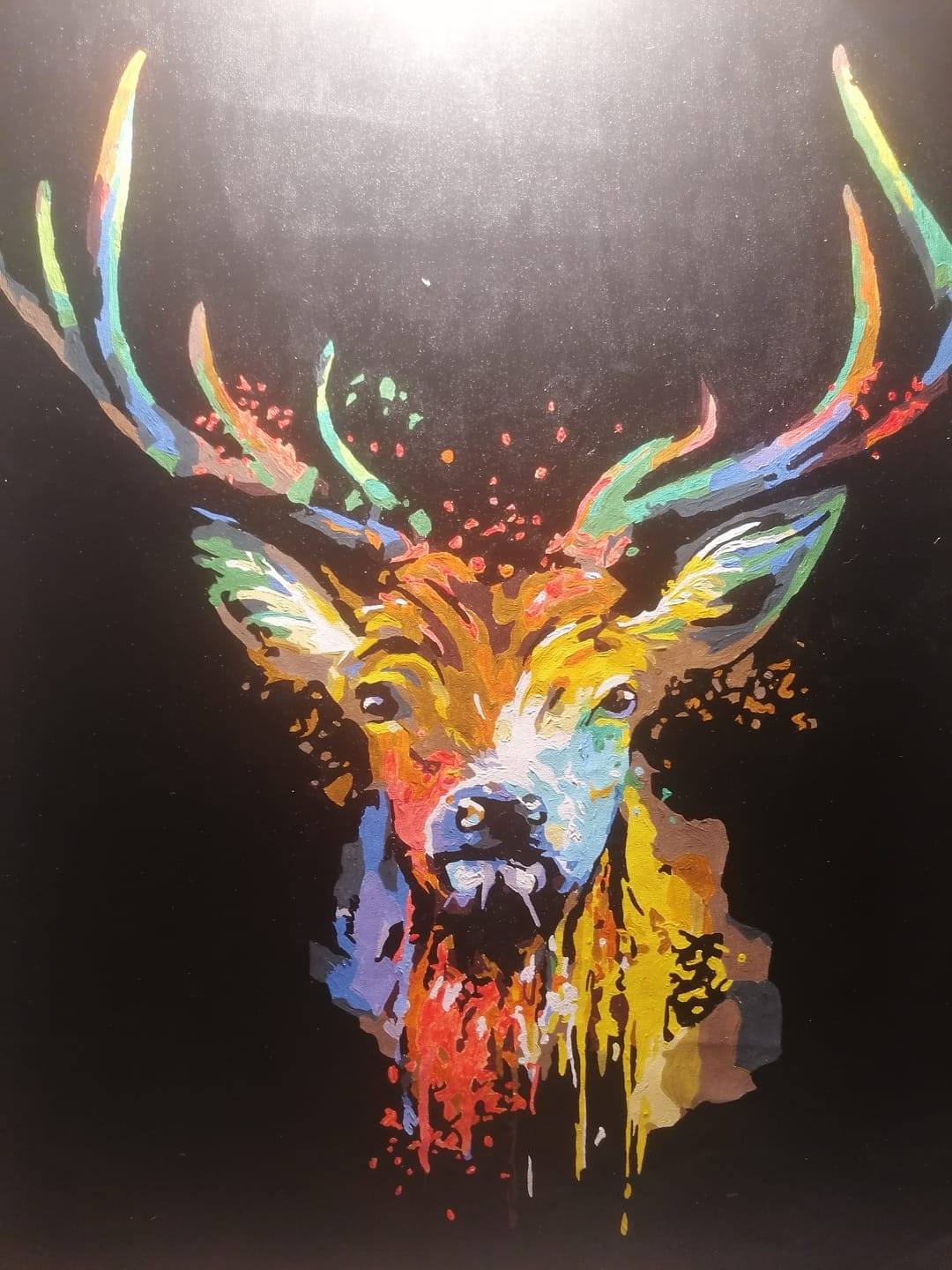 Customer photo review of Cerf en Couleur
