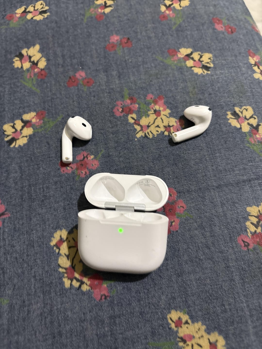 Customer photo review of Ethopods Pro 4 Wireless Earbuds – Active Noise Cancellation, 30Hr Battery, Type-C