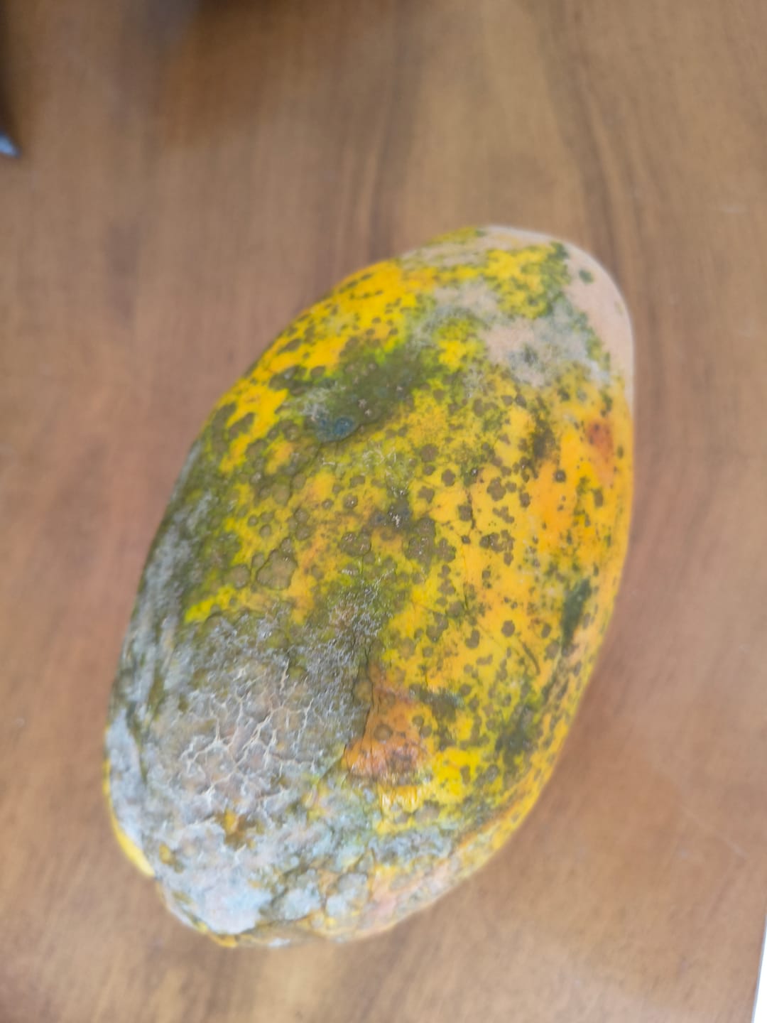 Customer photo review of Papaya Bio von Julian Wochenaktion %