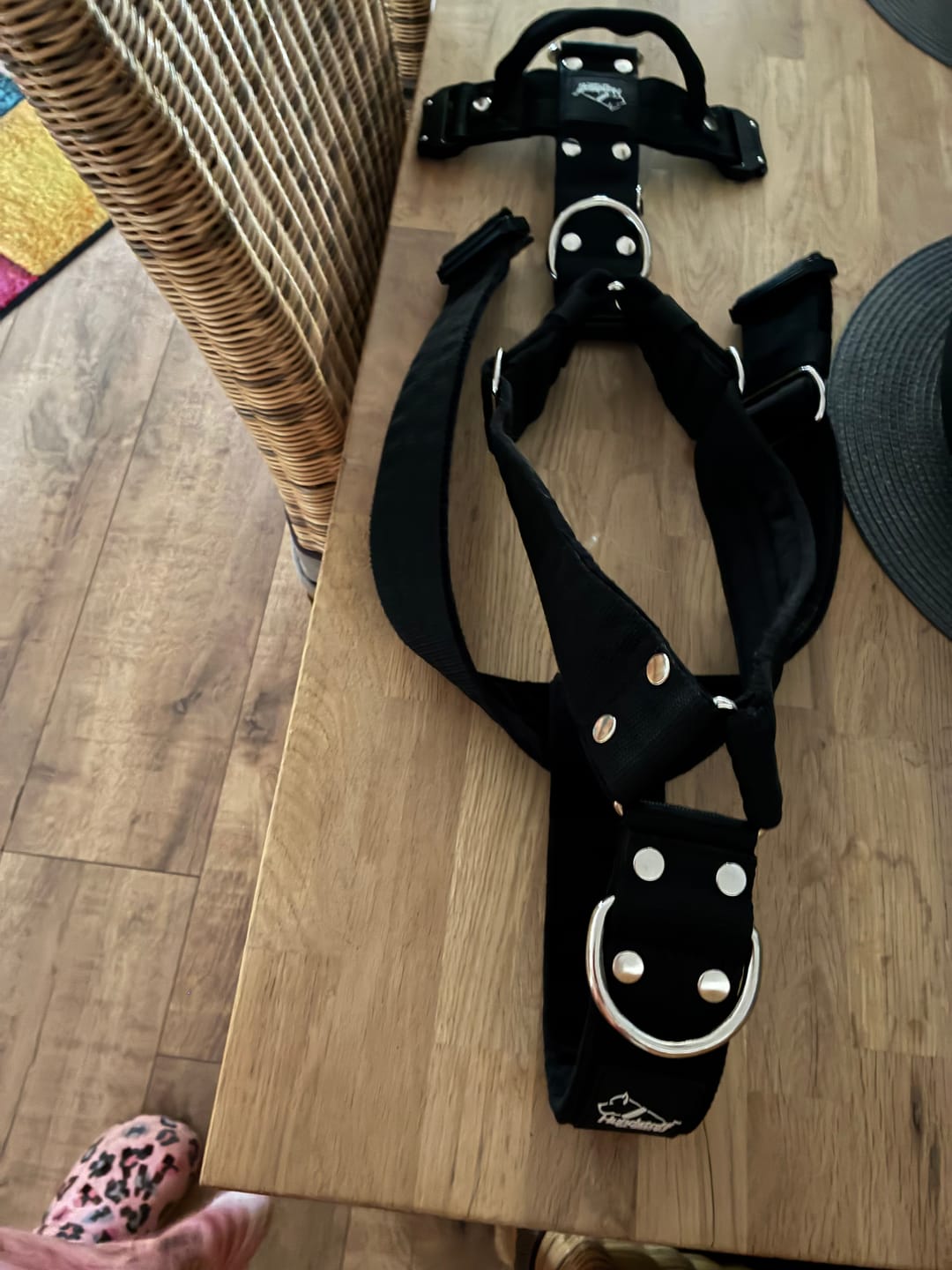 Customer photo review of Easy Walk Extreme Svart - Sele med snabbspänne
