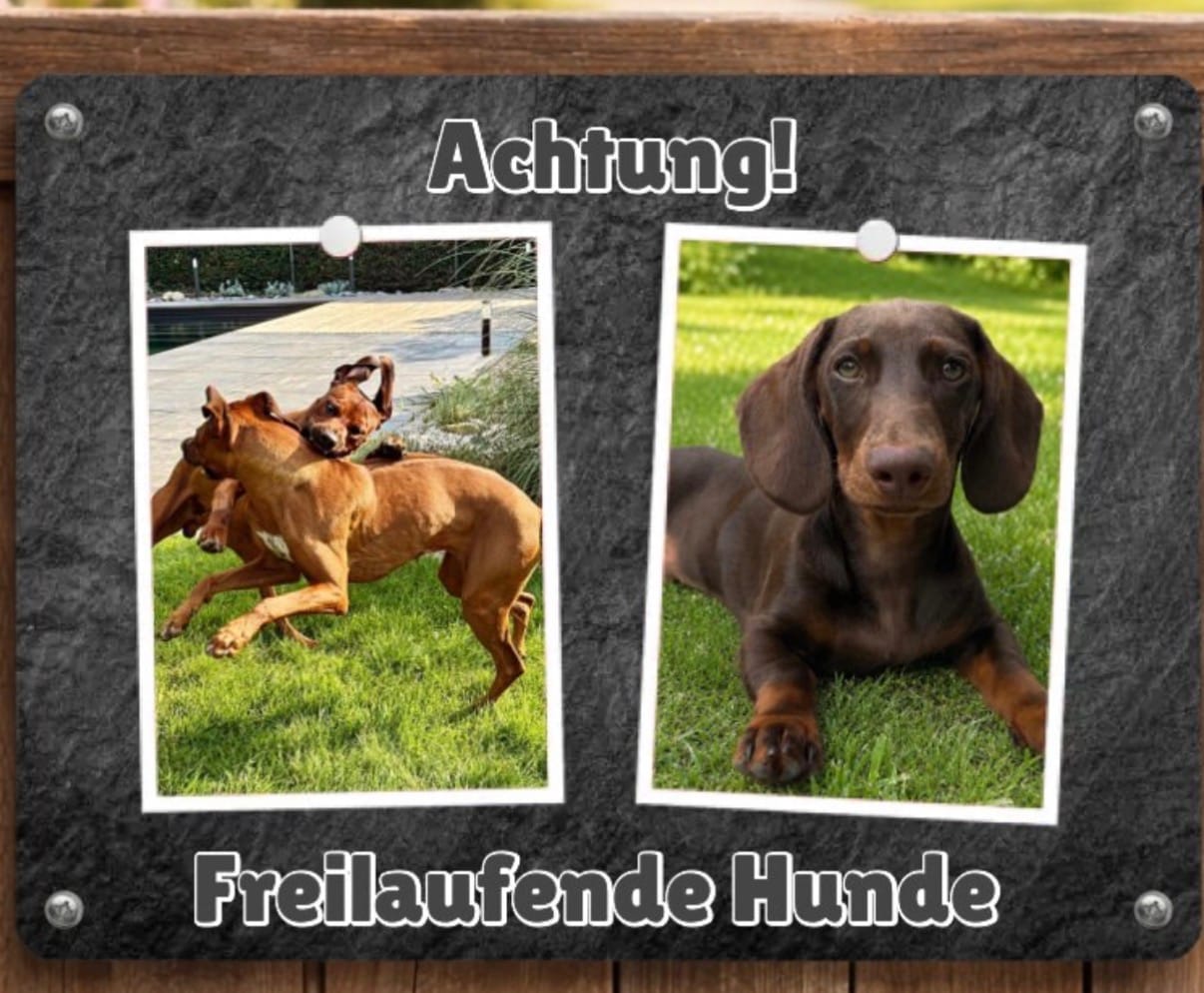 Customer photo review of Hunde-Türschild personalisiert mit Foto & Text (UV- und wetterfest)