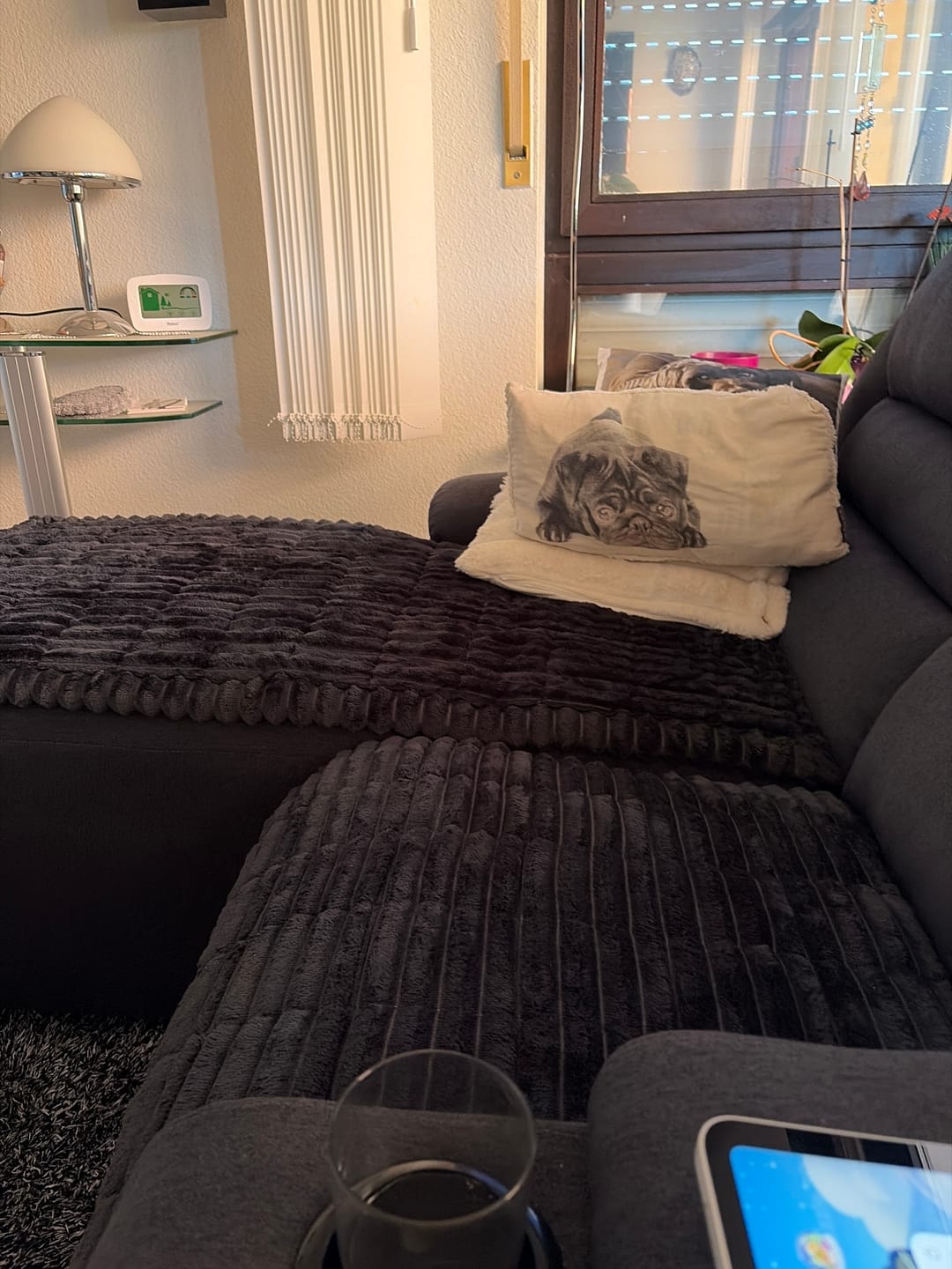 Customer photo review of PetLounge I Premium Sofa-Schutz