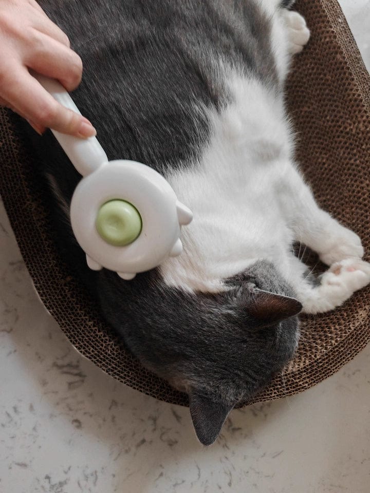 Customer photo review of Cat Grooming Brush with Release Button