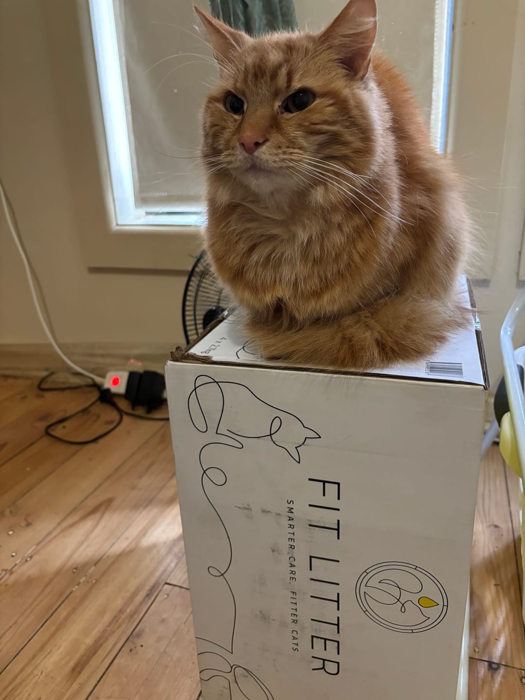 Customer photo review of Fit Litter