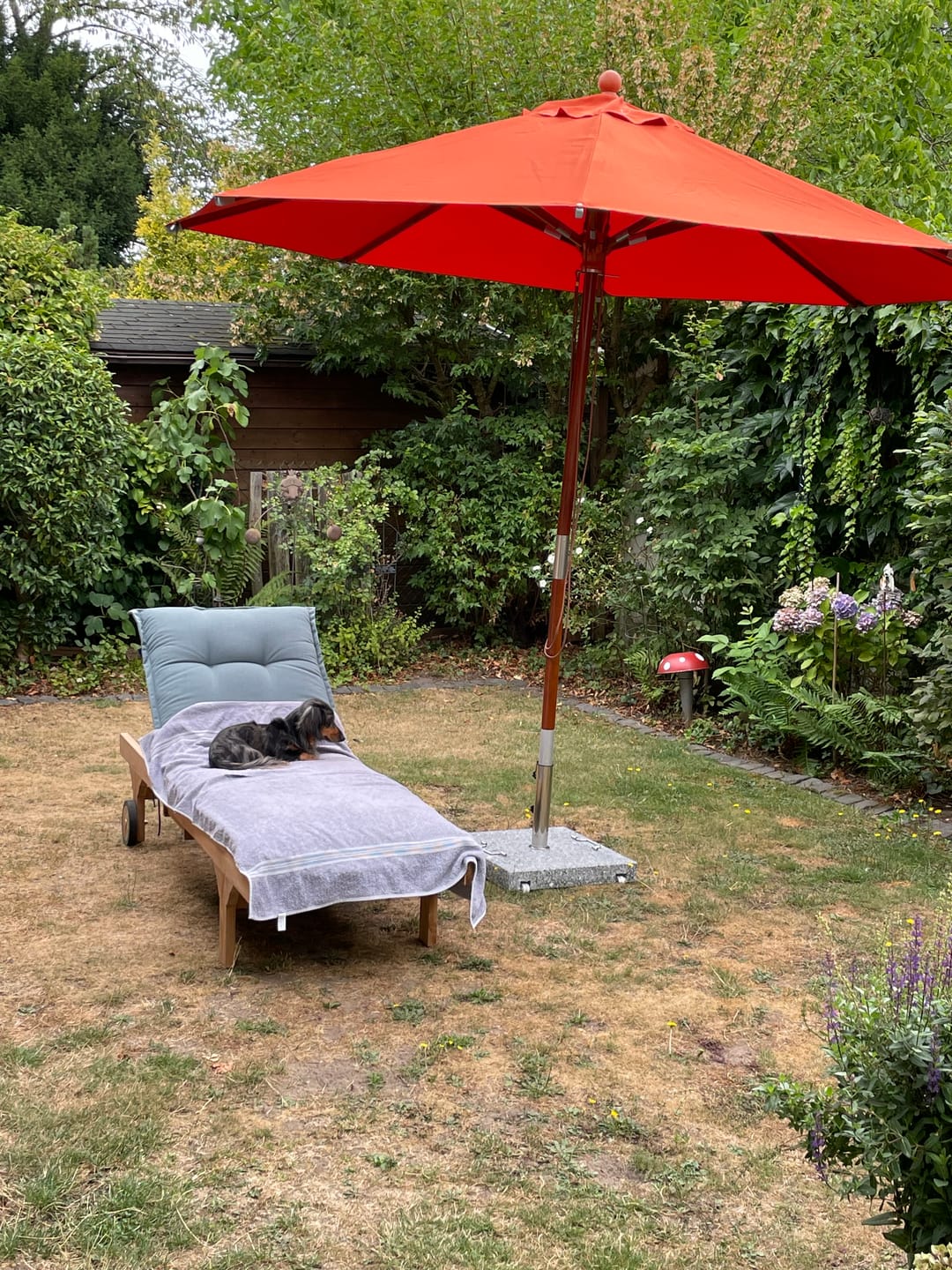 Customer photo review of Wetterfeste Sonnenliege Trinidad, Teakholz