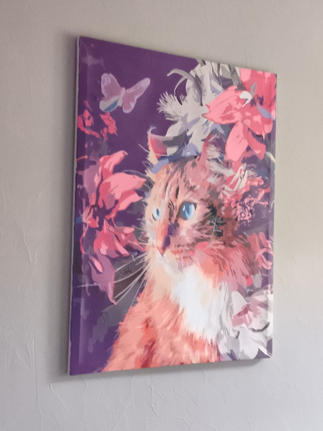 Customer photo review of Lot de Pots de Peinture Supplémentaire
