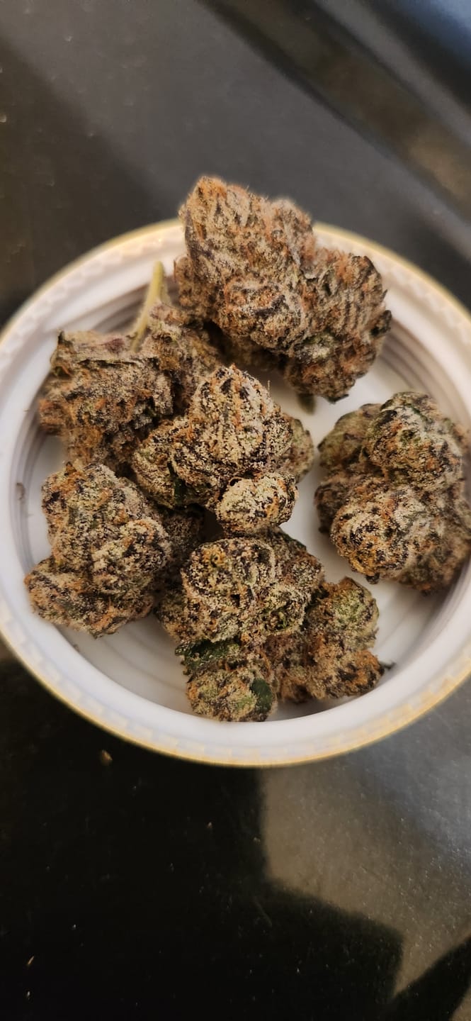 Customer photo review of Blue Lobster 17 Grams