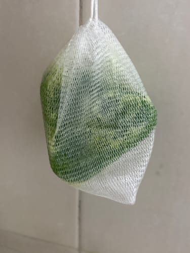 Customer photo review of Pastilla Coreana Revitalizante del Cuero Cabelludo