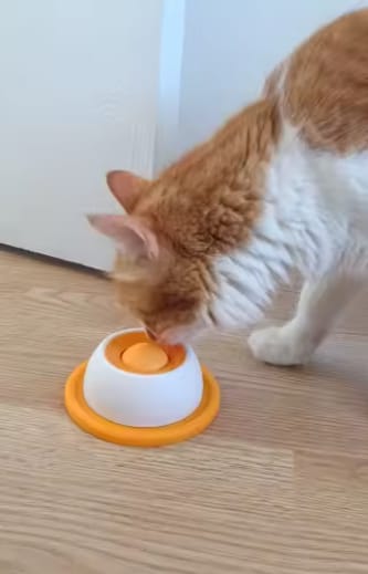 Customer photo review of Sashacat™ LickBowl