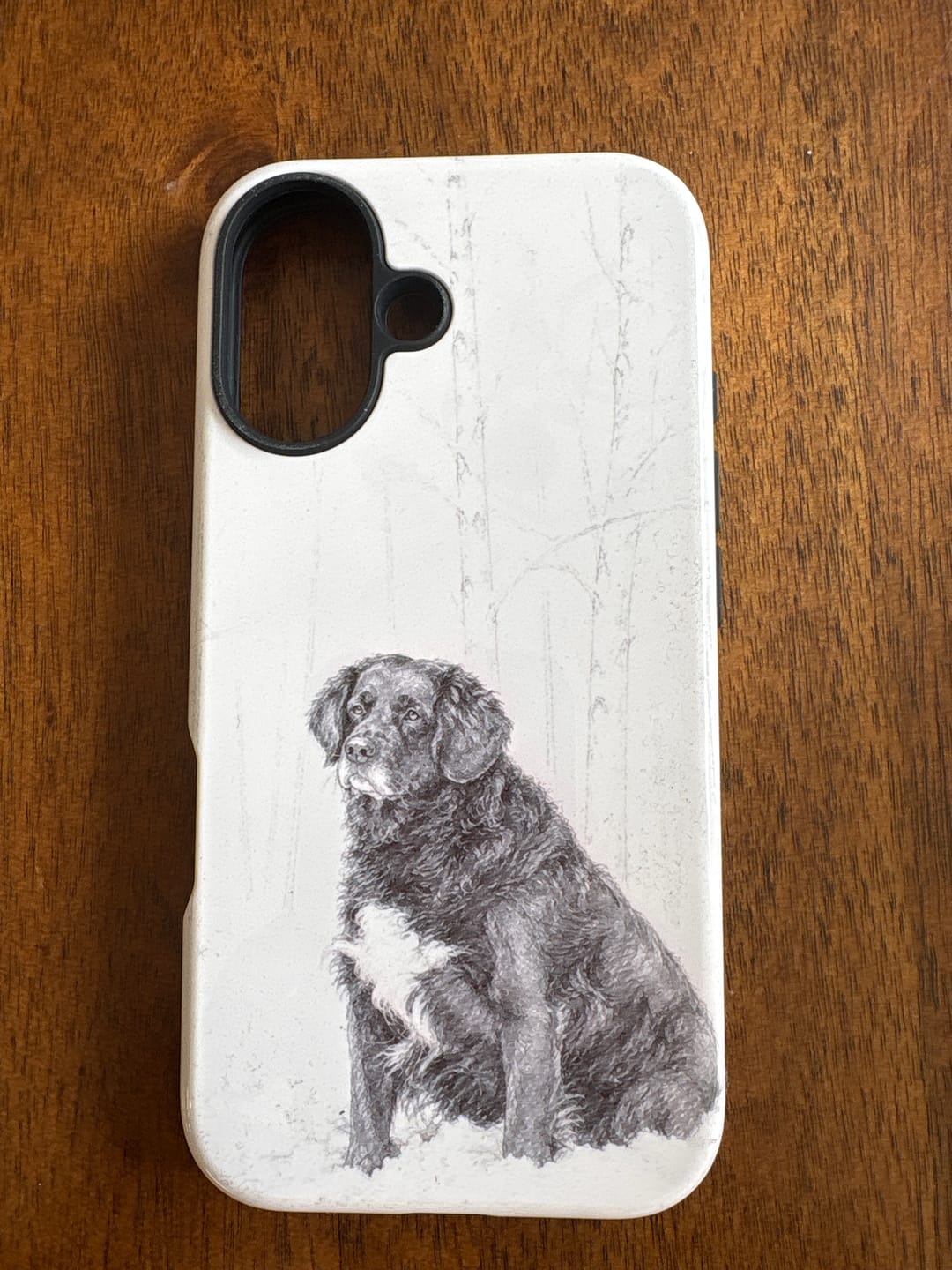 Customer photo review of Custom - iPhone 16