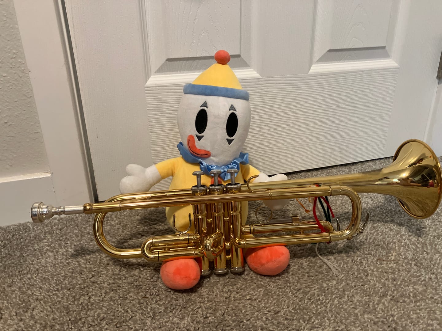 Customer photo review of Kaufmo Plush
