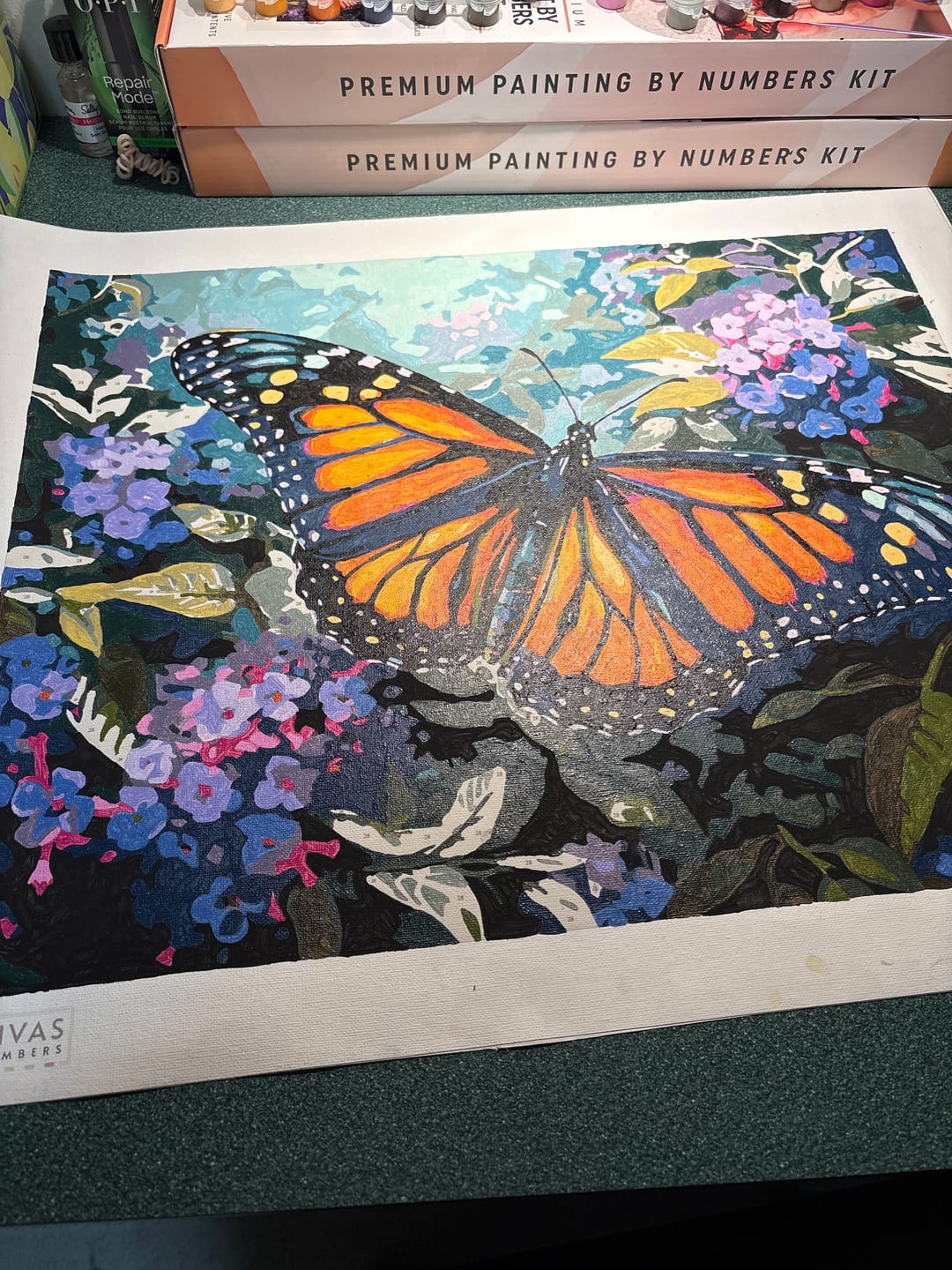 Customer photo review of Monarch Butterfly Painting
