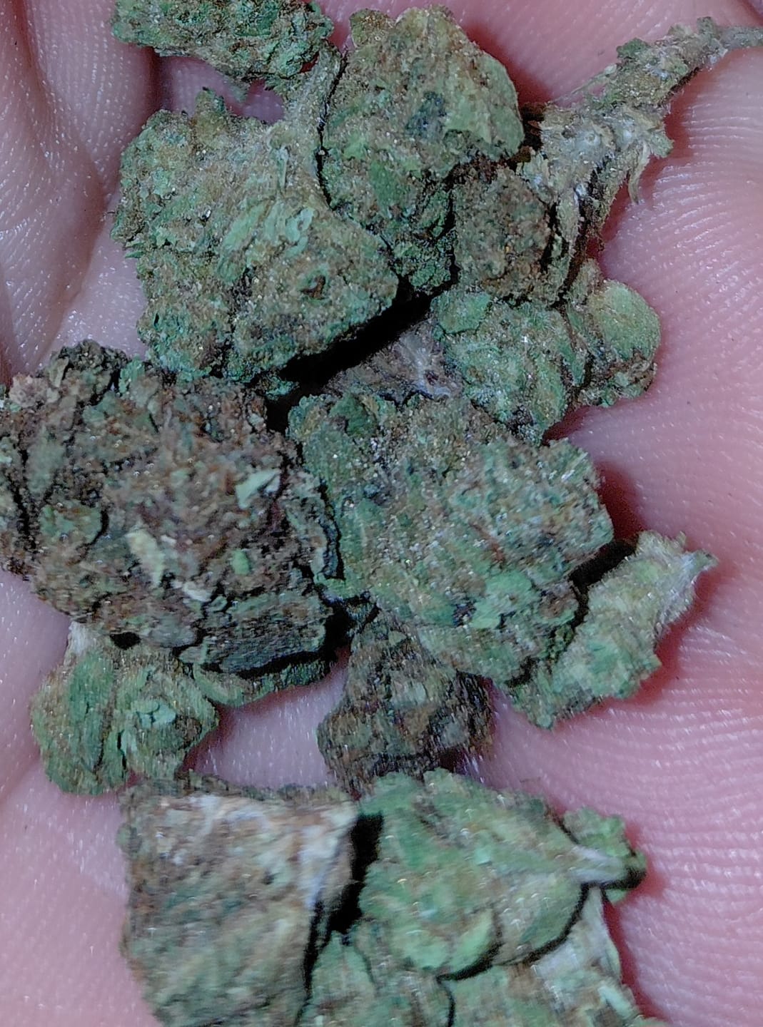 Customer photo review of Platinum OG - 28 Grams - Indica