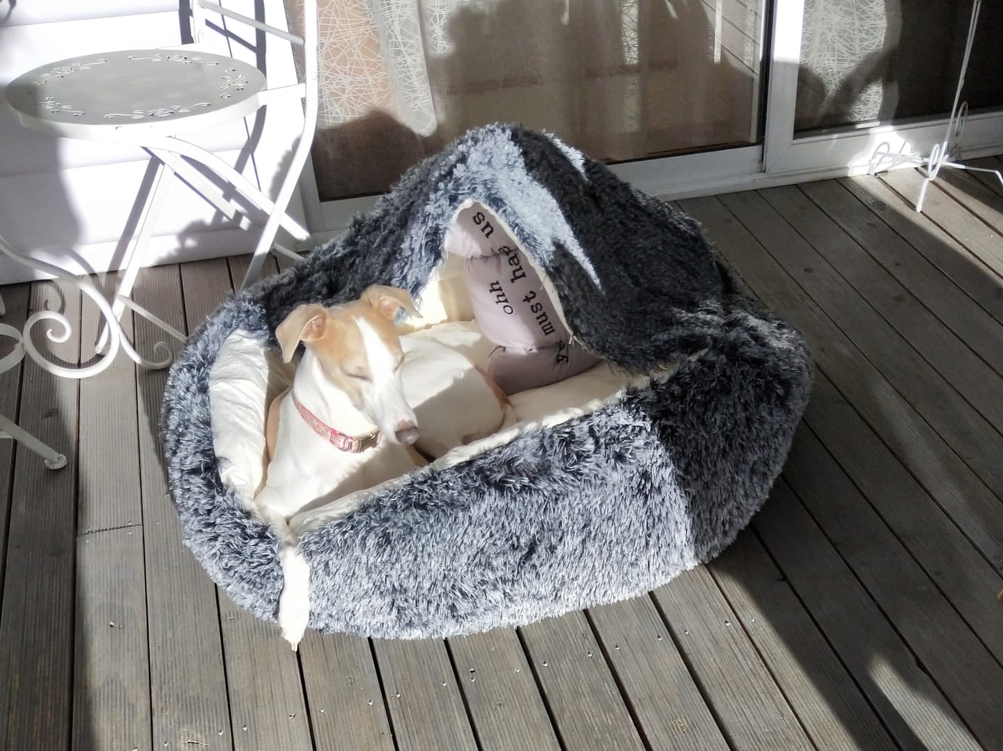 Customer photo review of Pet Cave Dog Bed - Removable Cover