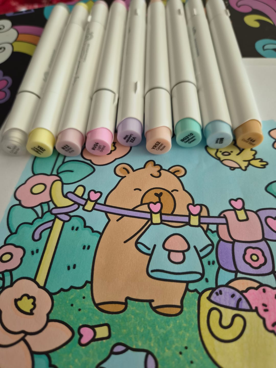 Customer photo review of Ohuhu Honolulu 48 Pastel Colors Dual Tips Alcohol Art Markers-Sweetness (New Color Codes)
