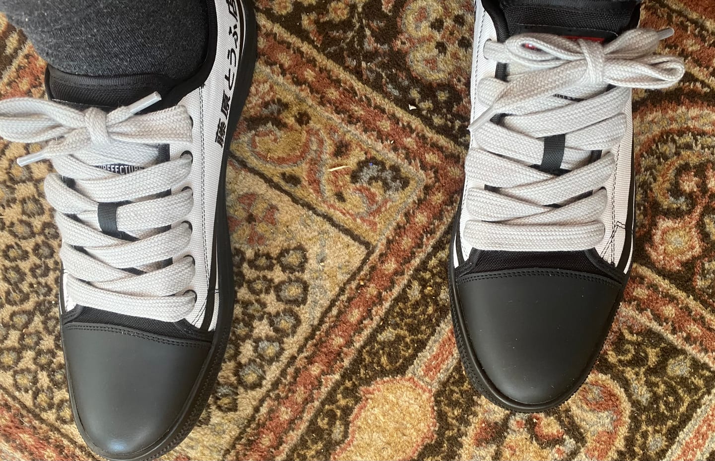 Customer photo review of HTXJPN Fuji2 Low Top Sneakers