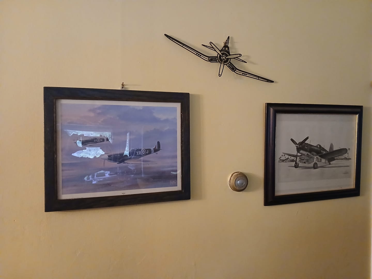 Customer photo review of F4U Corsair Front Silhouette Metal Wall Art