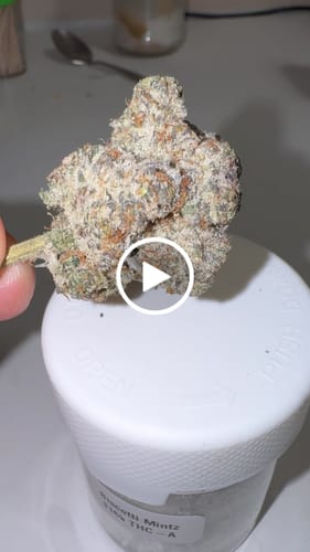 Customer video review of THC-A Flower Montgomery Benz
