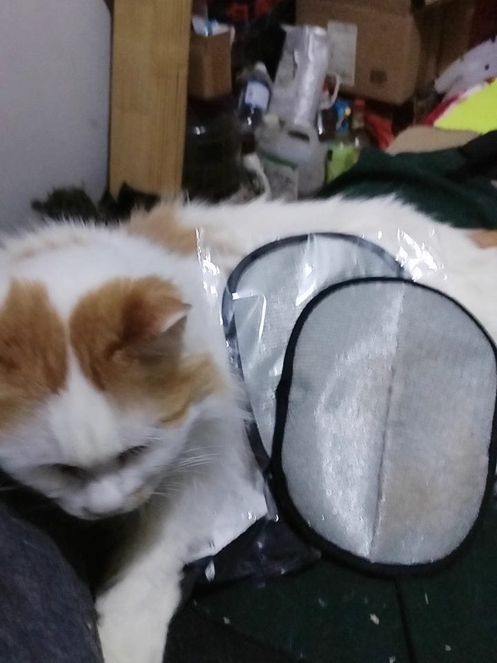 Customer photo review of Extra-Large Static Pet Hair Removal Glove