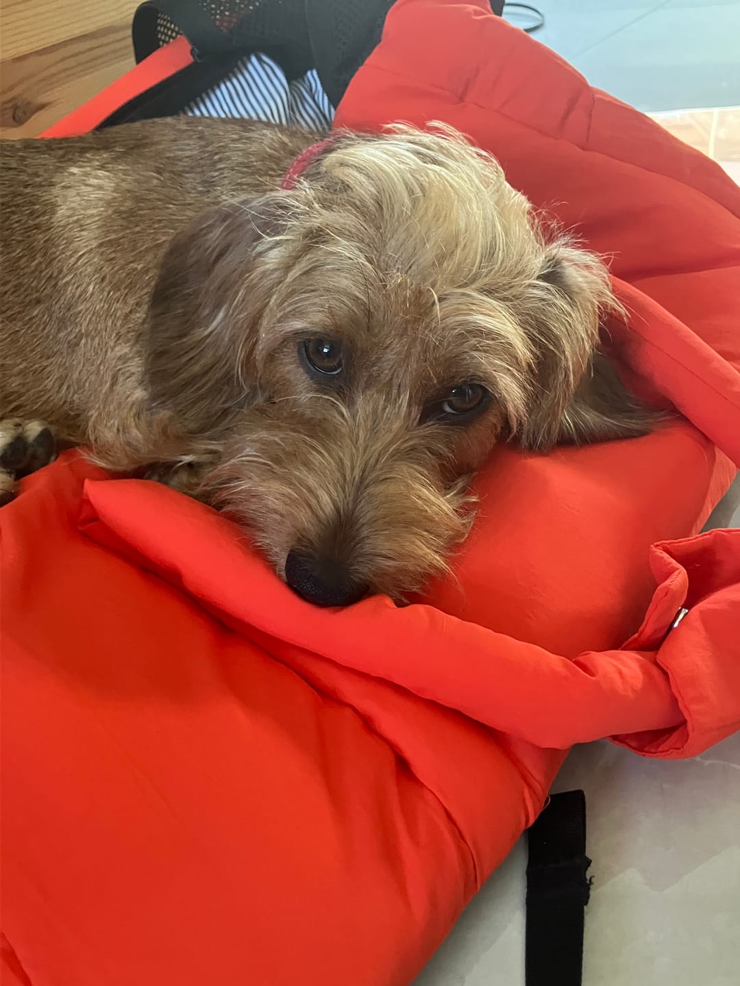 Customer photo review of Sac de voyage orange