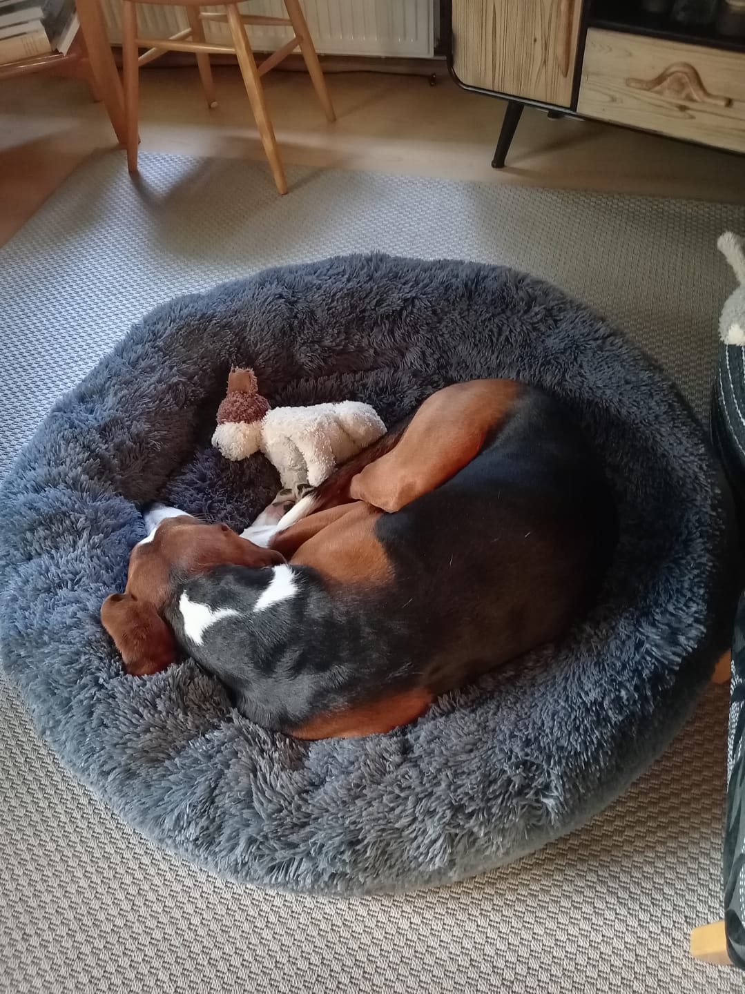 Customer photo review of CalmBed – Ehkäisee stressiä ja lievittää ahdistusta