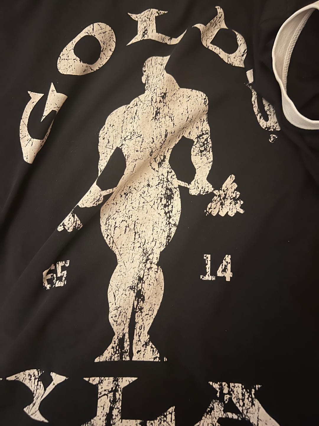Customer photo review of 4009 - Golds Gym Ringer Tees