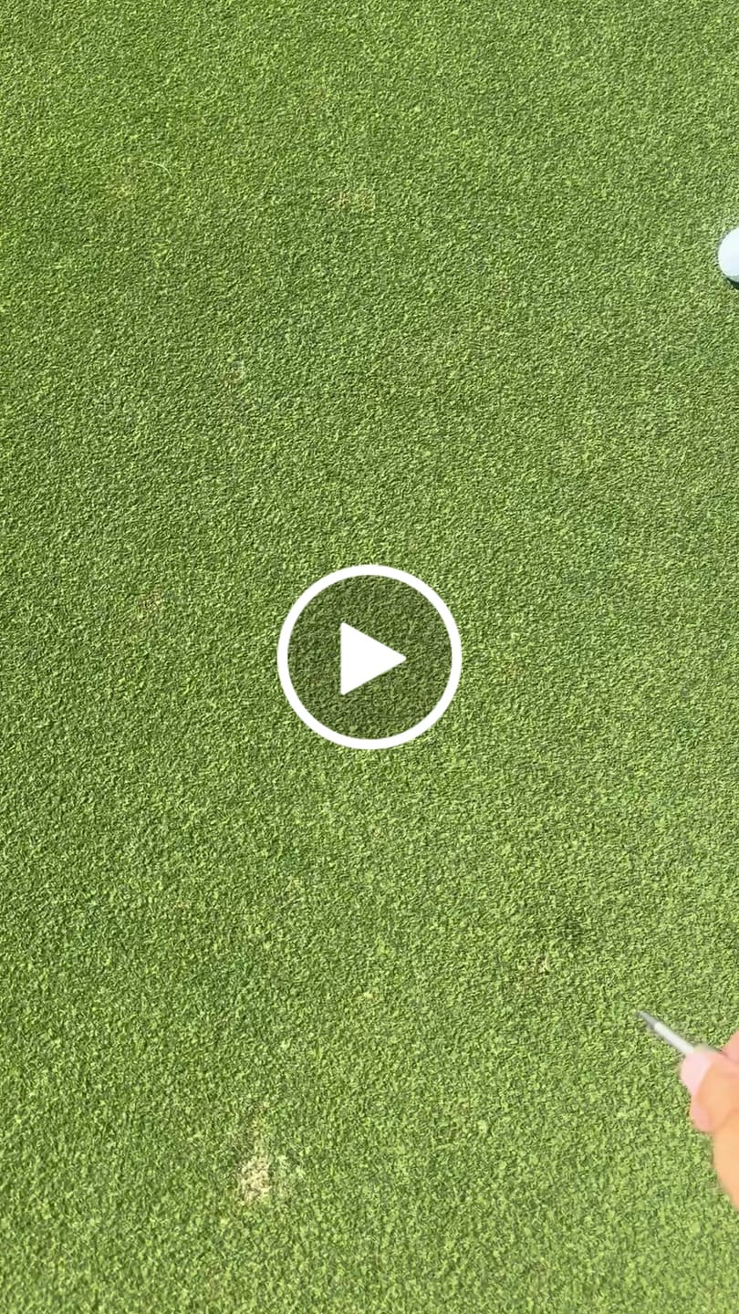 Customer video review of Revolver Single Prong Divot Tool - Stainless Steel