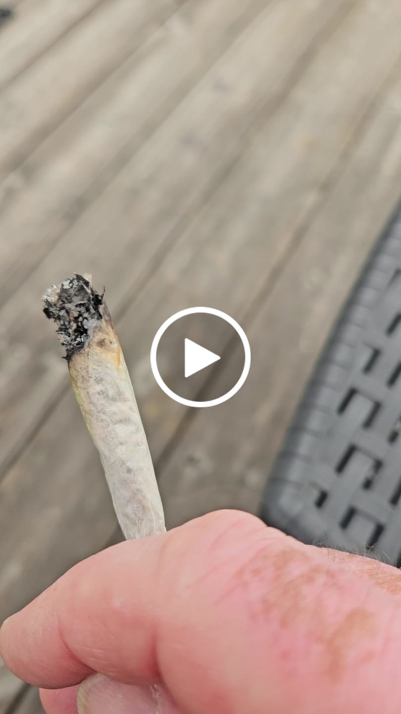 Customer video review of 🍃 Blütenmix - POWER LVL: 4/5