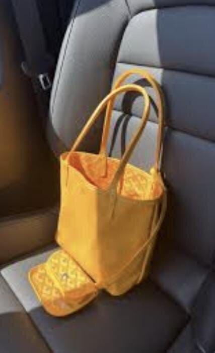 Customer photo review of Veyra Reversible Mini Tote