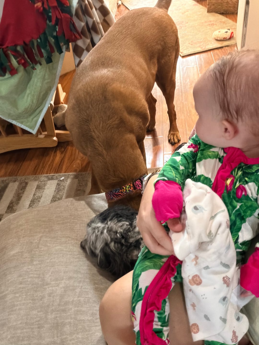 Customer photo review of Ruffled Bamboo Zippy Sleeper in Palm Paradise