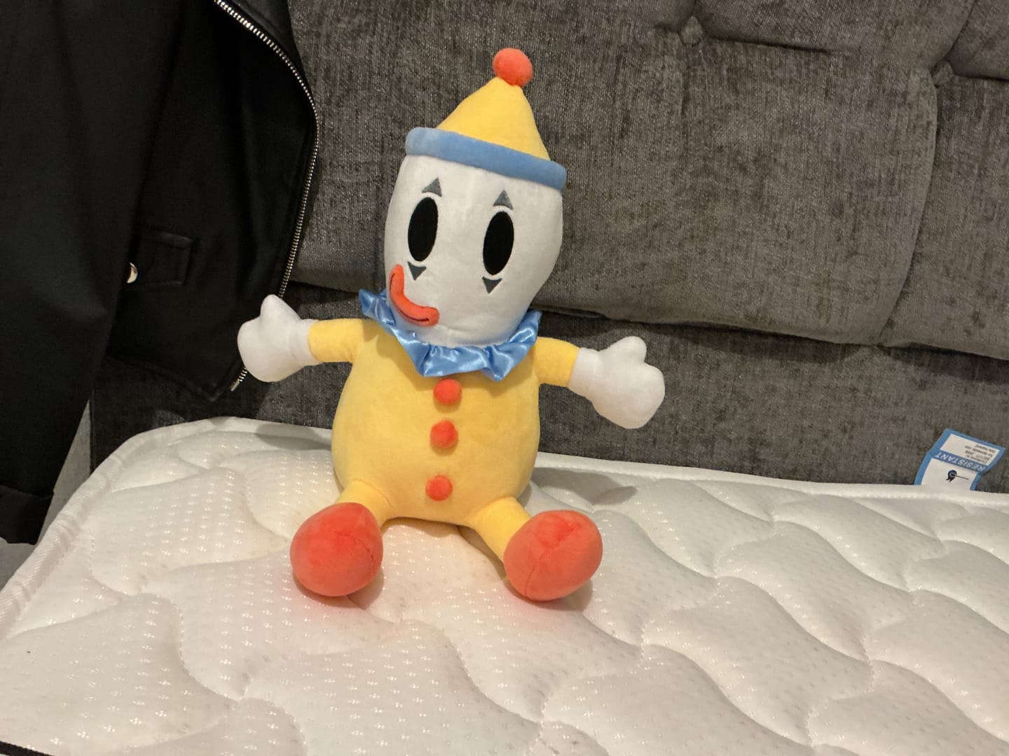 Customer photo review of Kaufmo Plush
