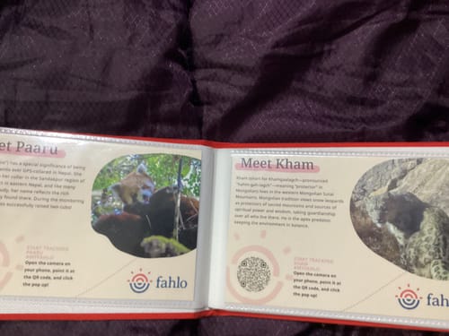 Customer's Mystery Bracelet info cards featuring photos of animals and QR codes for tracking.