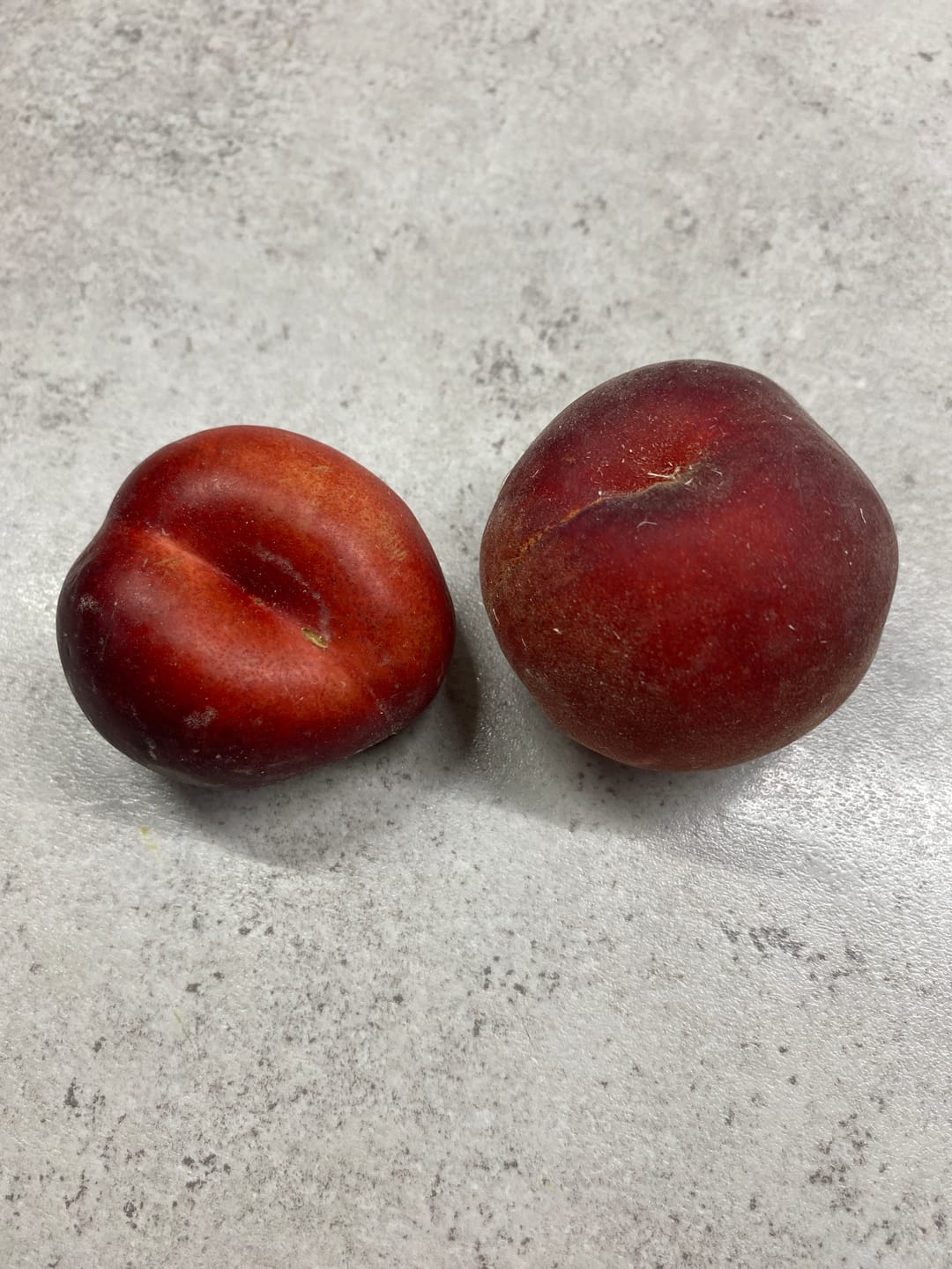Customer photo review of Pfirsich & Nektarinen Bio von Jordi Retterbox 3kg
