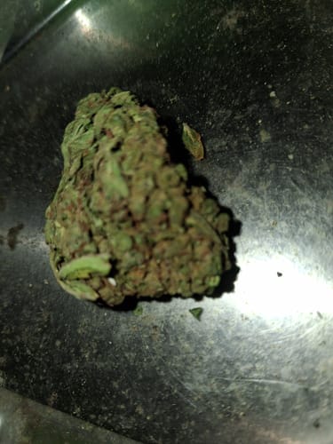 Mochi Gelato - Bulk - Indica photo review