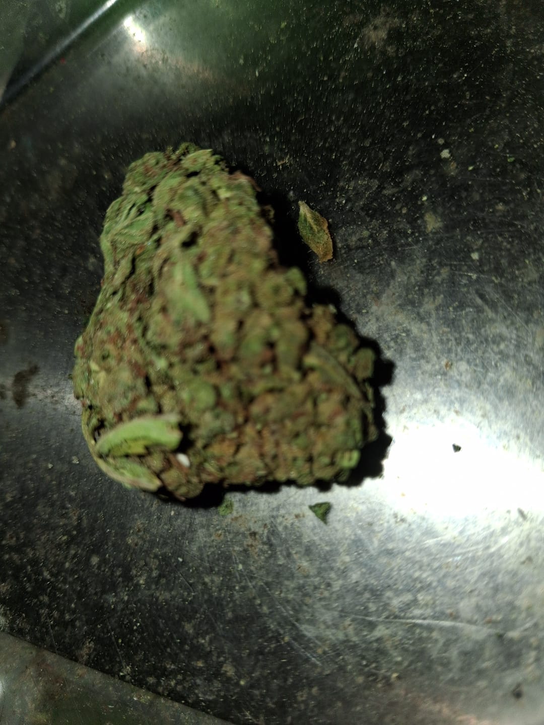Customer photo review of Mochi Gelato - Bulk - Indica