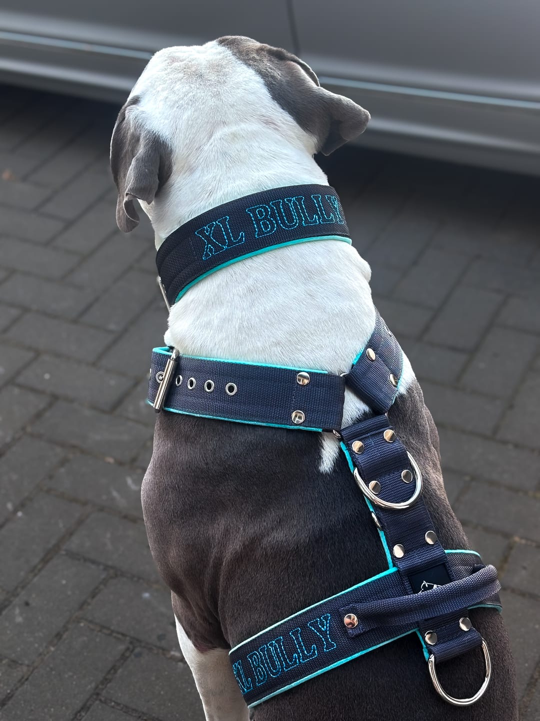 Customer photo review of Hundsele med namn