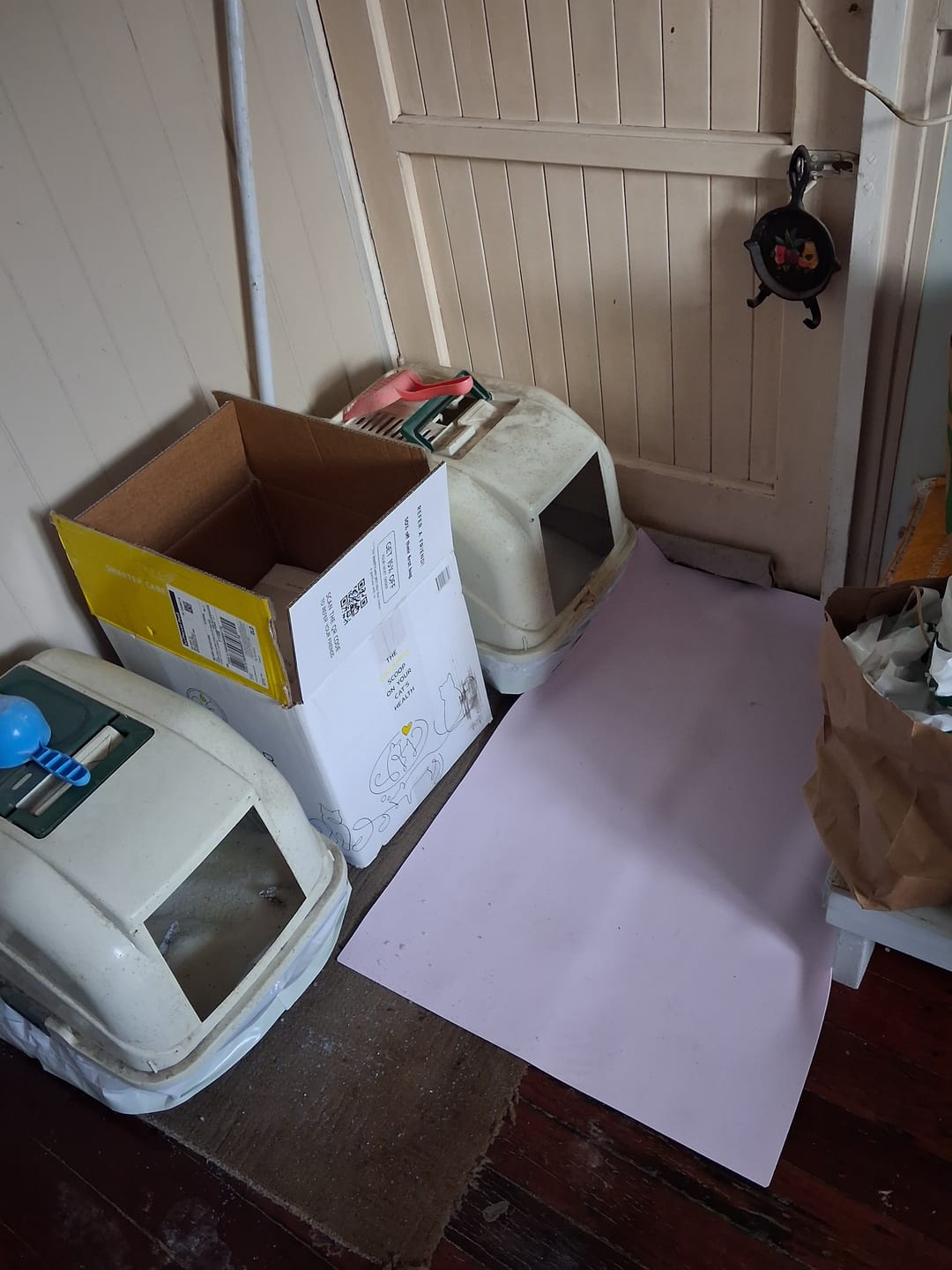 Customer photo review of Fit Litter
