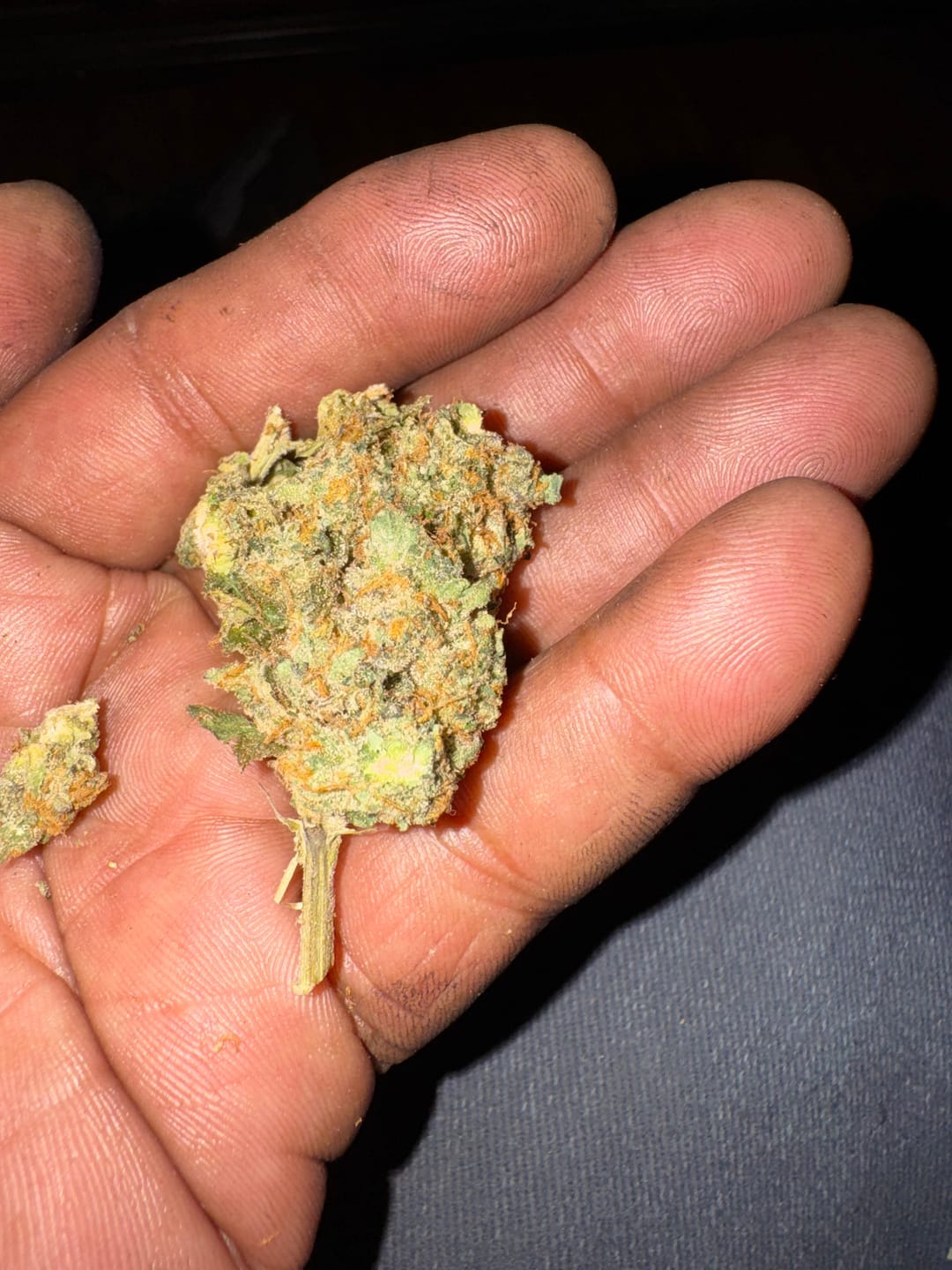 Customer photo review of Headband THCA Flower (Exotic)