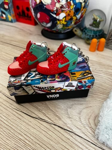 Customer photo review of SB Dunk Collection | Mini Sneakers Keychain