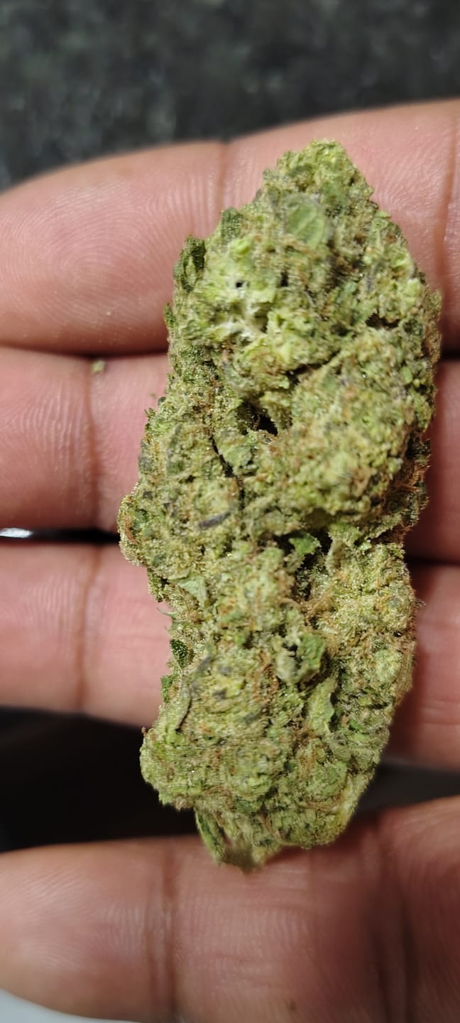 Customer photo review of Gush Mintz Indoor THCA