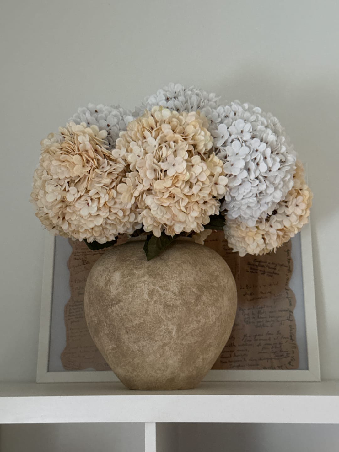 Customer photo review of Grande Hortensia (5 tiges) - Crème