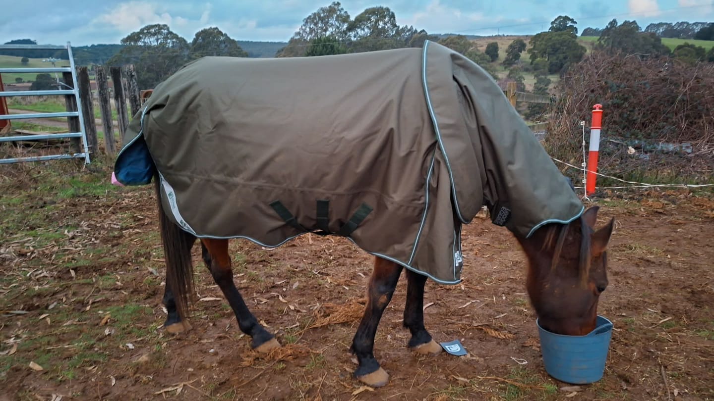 Customer photo review of LE Boxter Turnout 100g