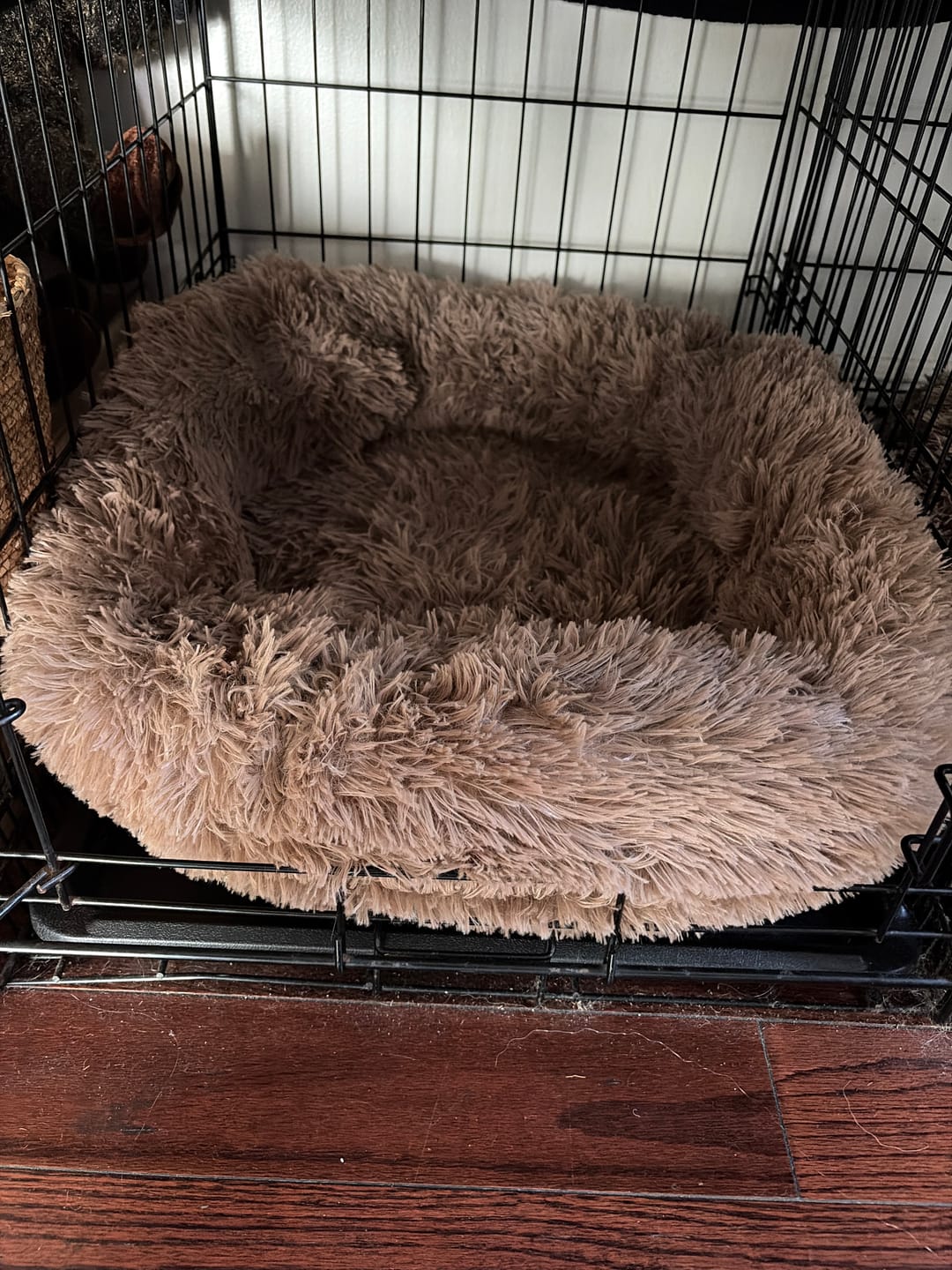 Customer photo review of The Original Fluffy Bean® Pet Bed