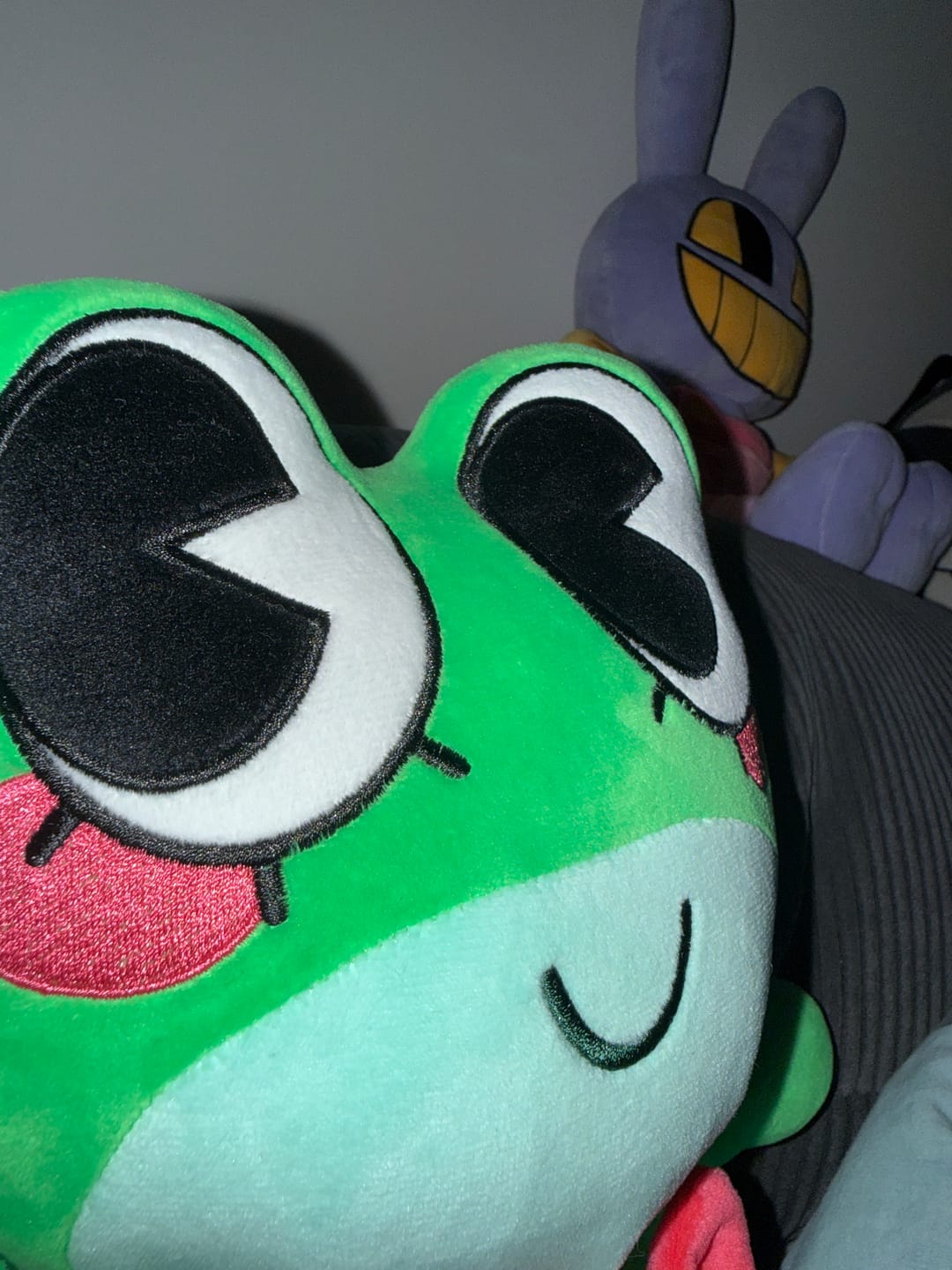 Customer photo review of Ribbit Plush